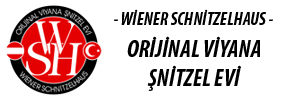 logo-img